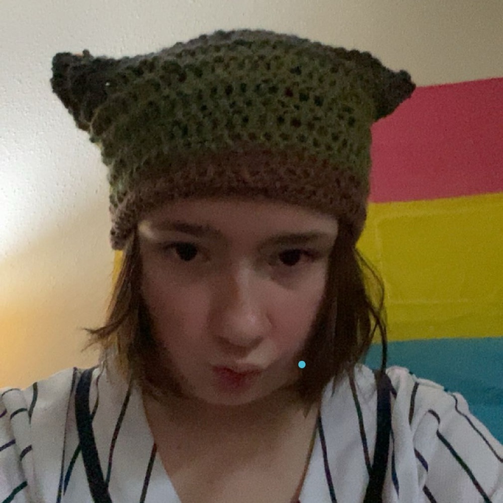 Handcrafted Multicolor crotcheted cat ear beanie